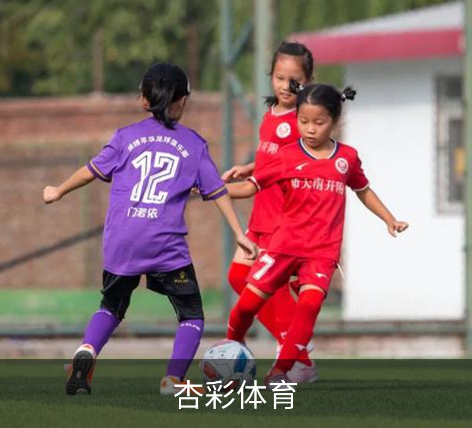 杏彩体育介绍